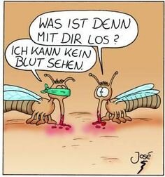 d9ee2f8260f8bc4a02ac65b155bfd446--german-language-funny-things.jpg