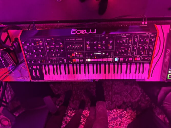 Moog Muse.jpeg