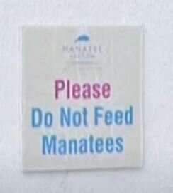 Don't feed the Manatees.jpg